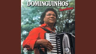 Meu Garanhuns