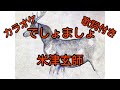 米津玄師【でしょましょ】カラオケ 歌詞付き