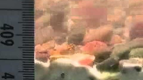 Bed Load Sediment Transport Close Up