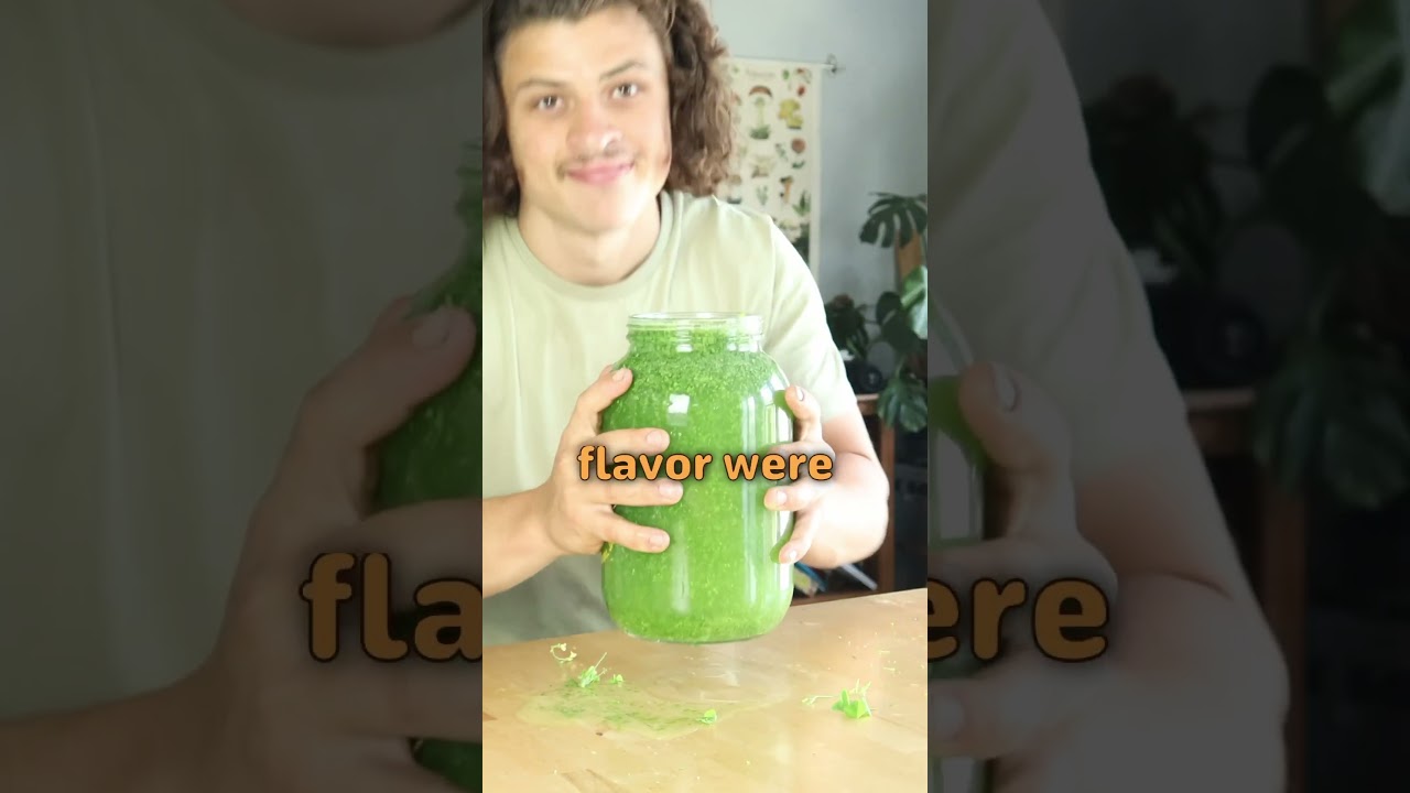 Delicious drink made from free foraged weeds 