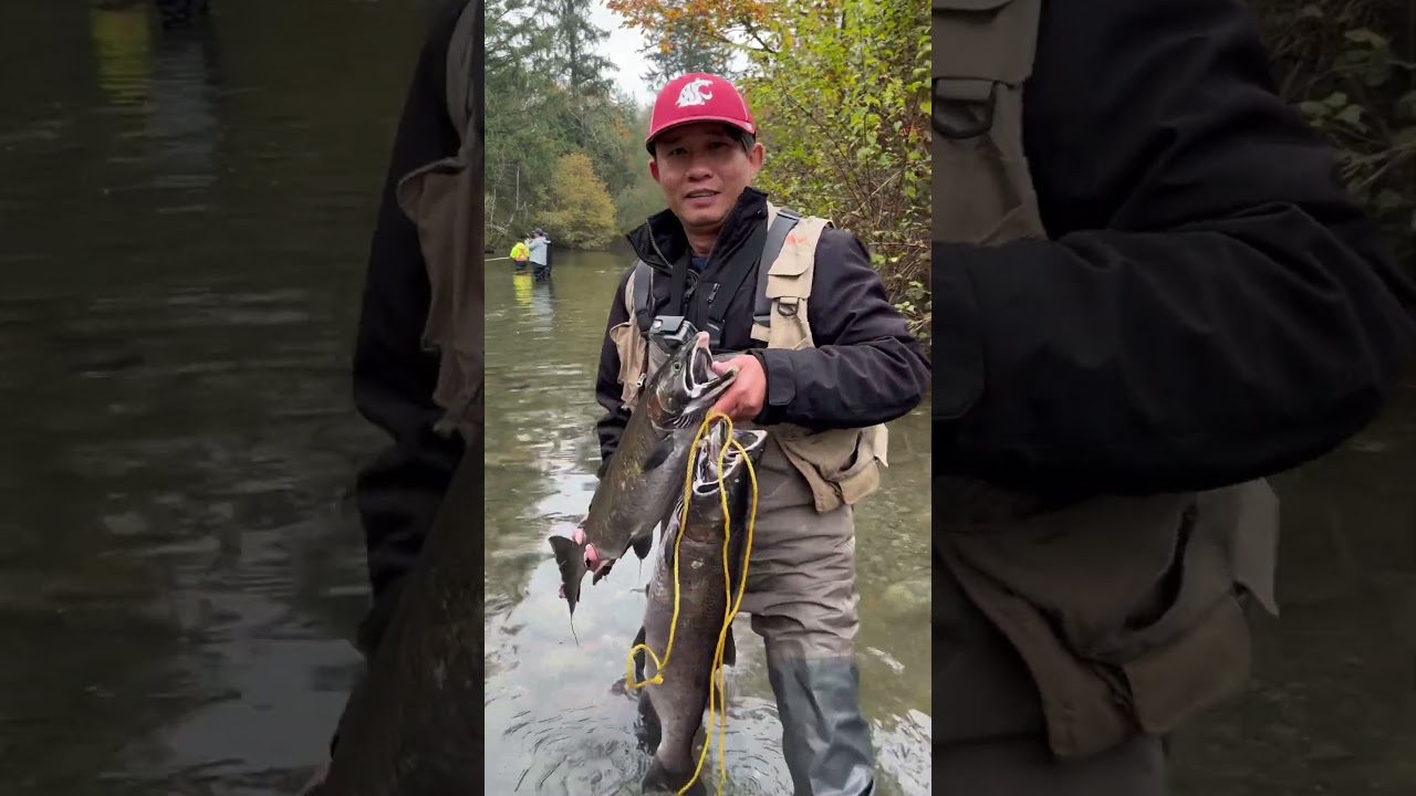 Ver My Best Time Salmon Fishing at River #shorts #salmon #silver #coho #washington #river#outdoors no YouTube Ver My Best Time Salmon Fishing at River #shorts #salmon #silver #coho #washington #river#outdoors no YouTube