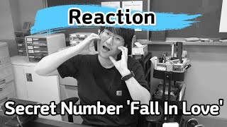 초등학교 선생님의 시크릿 넘버 폴인러브 리액션(SECRET NUMBER 'Fall In Love' React…