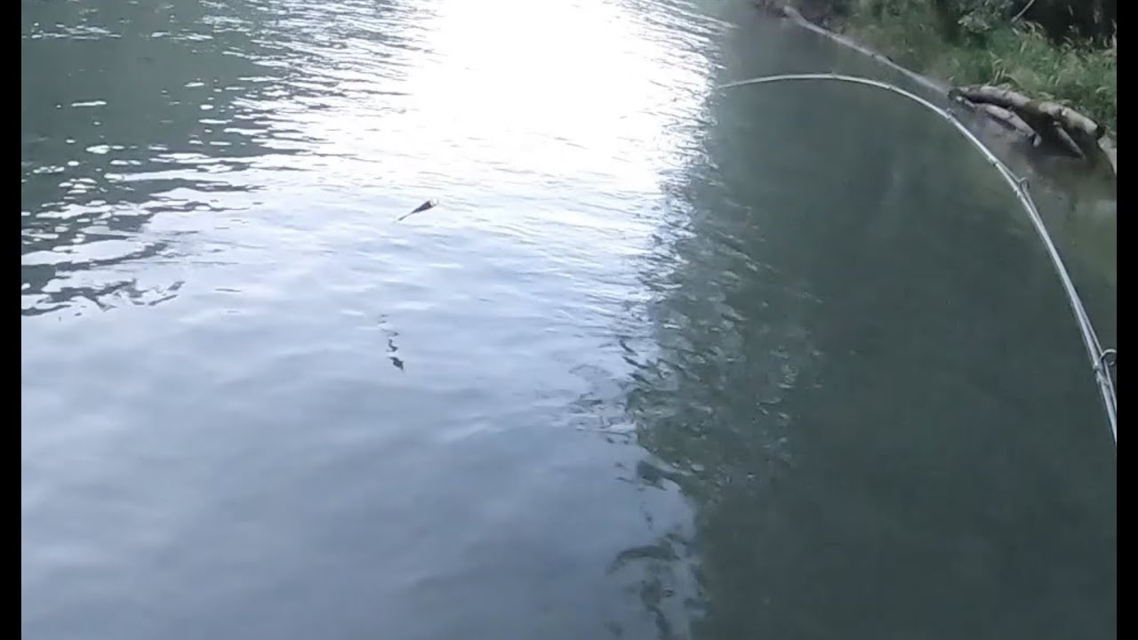 Float fishing secrets for King Salmon YouTube