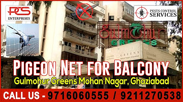 #pigeoncontrol #pigeonnetforbalcony Professional Bird Netting Services In Ghaziabad 9716060555