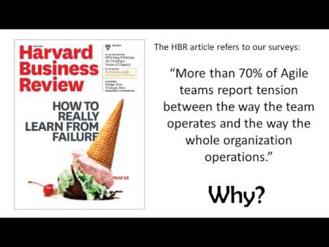 How To Make The Whole Organization Agile