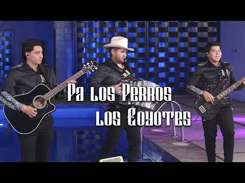 Pa’ Los Perros