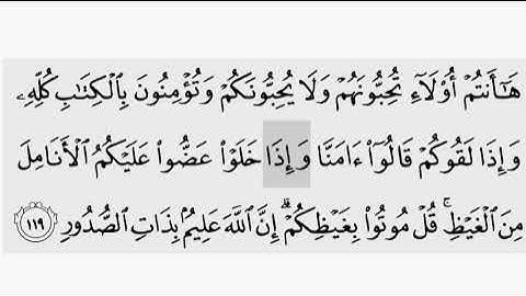 حفظ سورة ال عمران ايه ( ١١٩ ) للقارىء أيمن سويد بروايه حفص عن عاصم