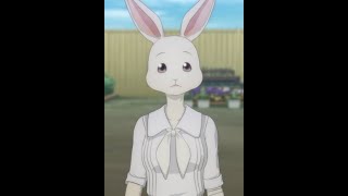 Best Furry Anime?