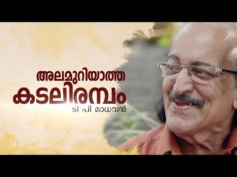 അലമുറിയാത്ത കടലിരമ്പം | T.P Madhavan | ഗാന്ധിഭവനിലെ ജീവിതവും ചില തിരിച്ചറിവുകളും | 24 Special Story