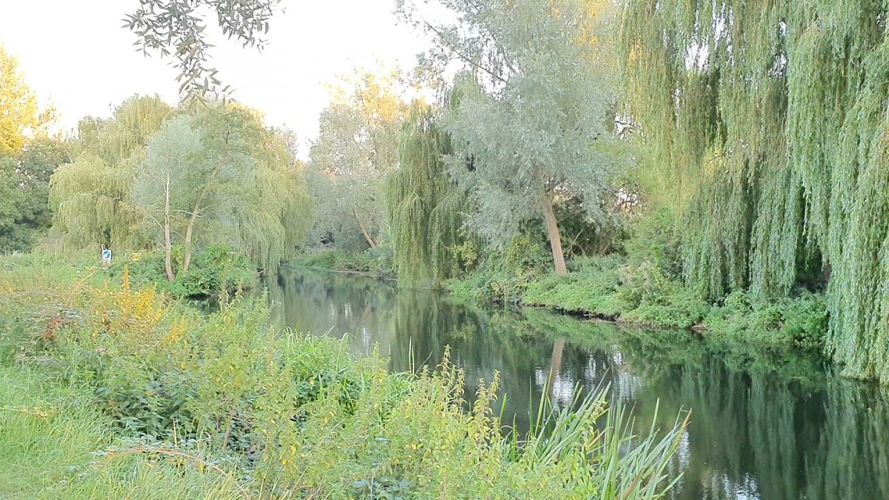 Rule of 6 has failed