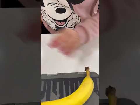 صندوق غداء لانا الجديد لذيذ  صندوق غداء