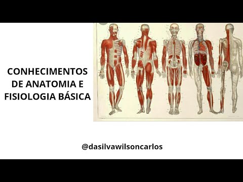 Vídeo: Diferença Entre Anatomia E Fisiologia