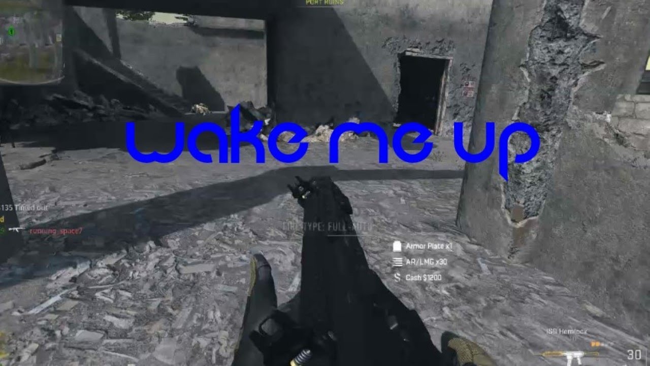 Wake me up (wz2 montage) YouTube