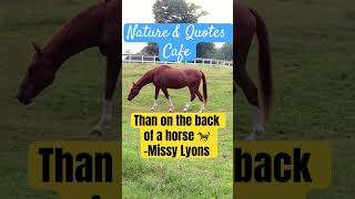 Horse 🐎 Quote #nature #quotes #inspiration #beautiful #motivation #horse