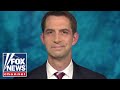 Tom Cotton demands Anthony Fauci be prosecuted for his lies