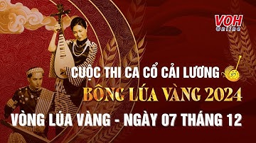 BÔNG LÚA VÀNG 2024 - Ngày 7/12/2024 | Vòng Lúa Vàng - Ca cổ cải lương - Full Show
