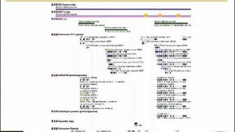 Working with Infinium Genotyping Data Introduction