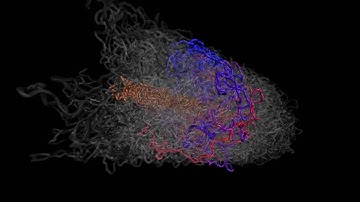 Model of human mitotic chromosome