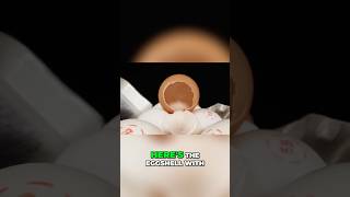 An Eggshell Looks Wild Up Close