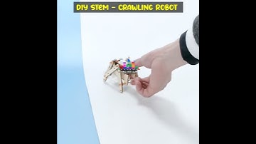 Vince Station DIY RBT Experiment Model Kit Project 26. Stem - Crawling Robot