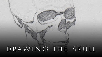 Drawing The Skull - Part 1