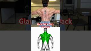 Giant Wide back Workout 🔥🫁 Best Back Exercise #shorts #ytshorts #youtubeshorts #vairal #youtube