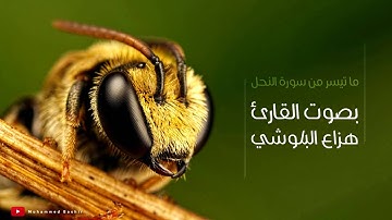 ما تيسر من سورة النحل بصوت جميل جدا هزاع البلوشي