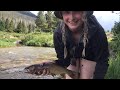 Fly fishing for greenback cutthroats at rocky mountain np