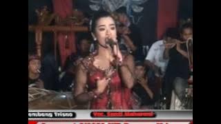 Tembang Tresno....campursari Galogo Jati....live in Tretes