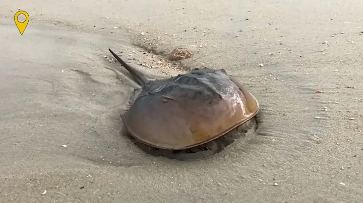 35 Insane Facts About Delaware (You've Never Heard) @kingcollins511 #viral #reels #explore #shorts 