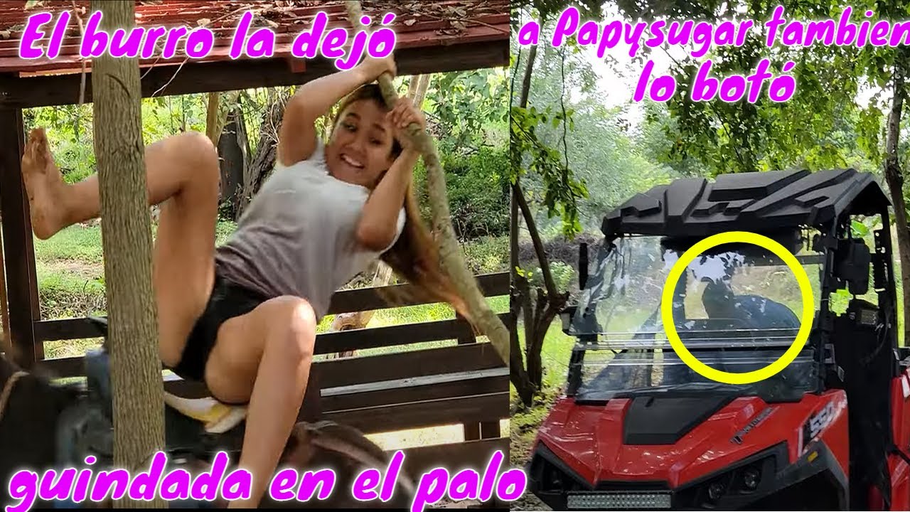 Alejandra y Papysugar te haran reir como nunca. Bessy que nos pasó?