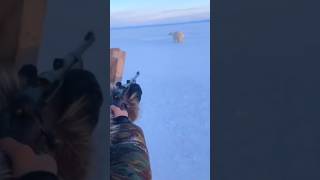Ice king polar bear down with one shot #bear #wildlife #icebear #anime #short#nature #gaming#jimin
