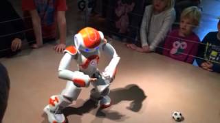 Tai-Chi mit Roboter Paul