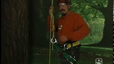 Weaver Floating Dee Wide Back