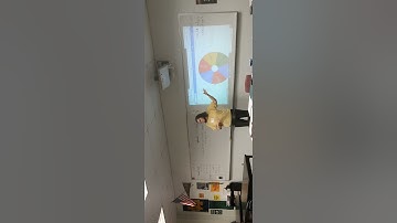 1st Practicum Lesson part 1