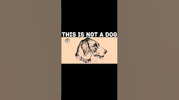 This is an eye exam #shorts