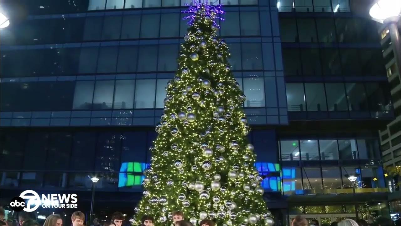 7News hosts the Rosslyn Christmas tree lighting! YouTube