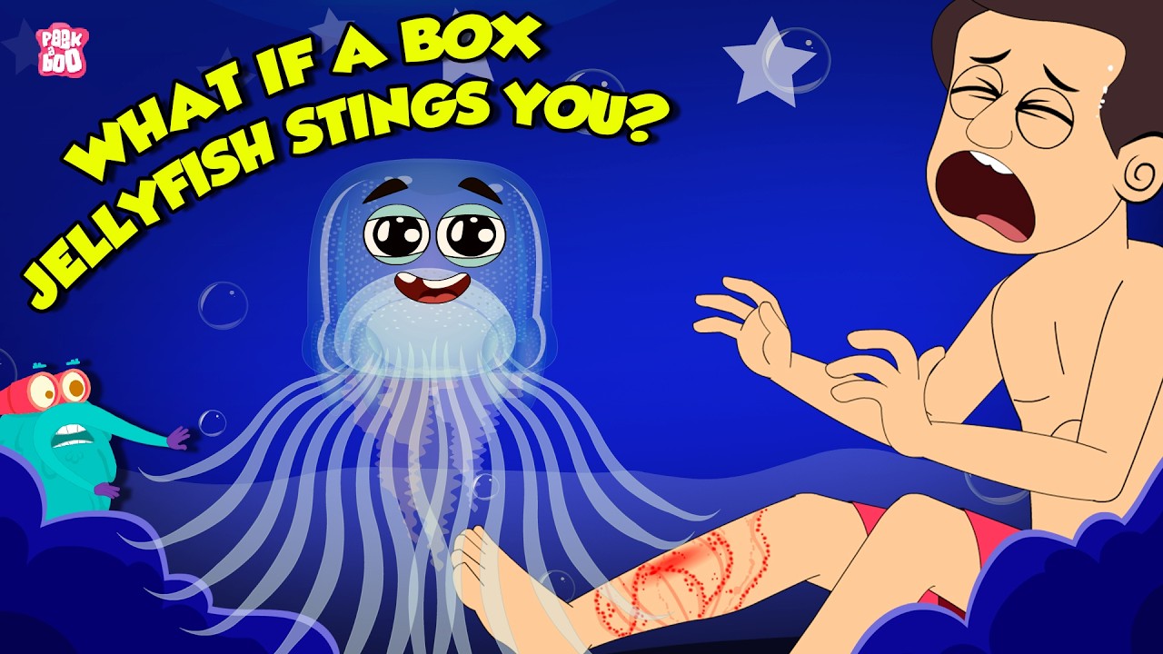 Deadliest Sea Creature | What if a Box Jellyfish Stings You? | How to  Survive | Dr. Binocs Show