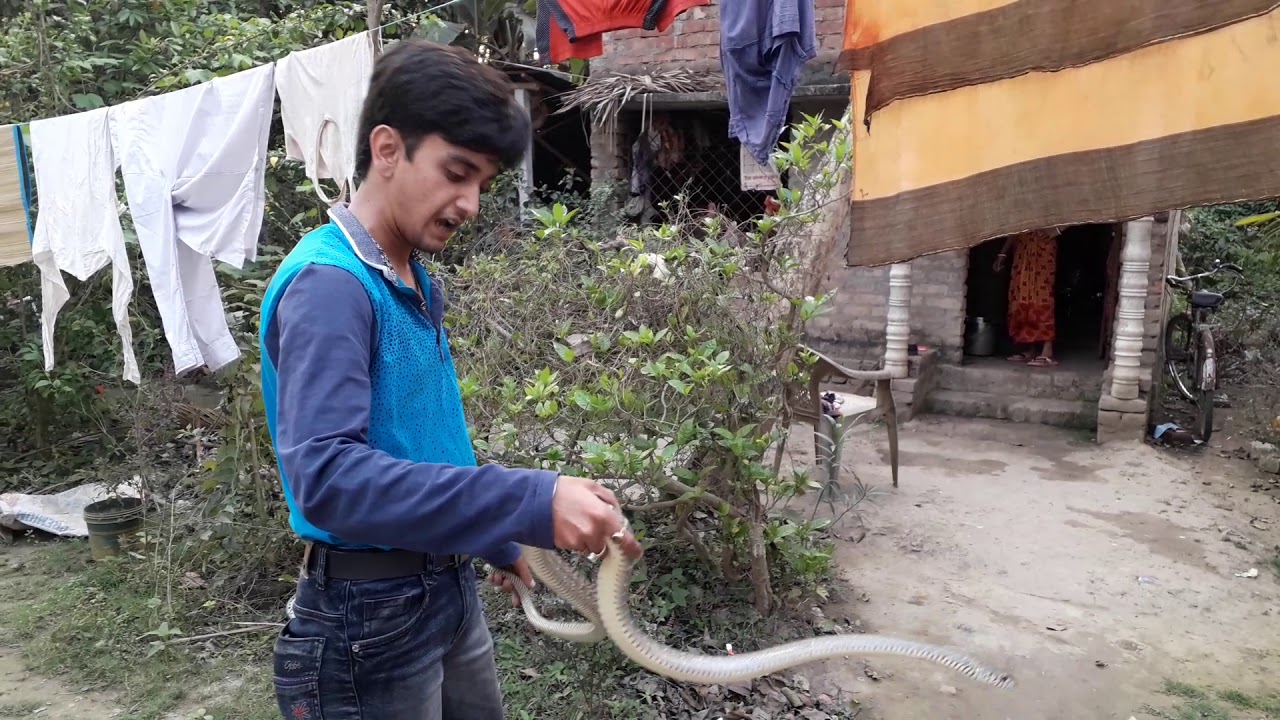 camera iphone 8 plus apk Today's rescue on 12-3-2019,5 p.m. at SIMURALI,KALIGANG,BAZAR PARA,RAM MOHON PATHAGAR nearest area