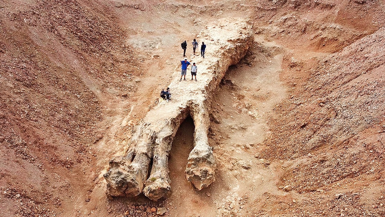 100 Невероятных Случаев, Когда Археологию Приходилось Переписывать Заново