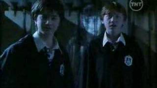 Hermione Cat Tf Youtube
