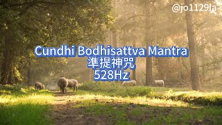 Cundhi Bodhisattva Mantra準提神咒  #mantra  #528hz  #meditation