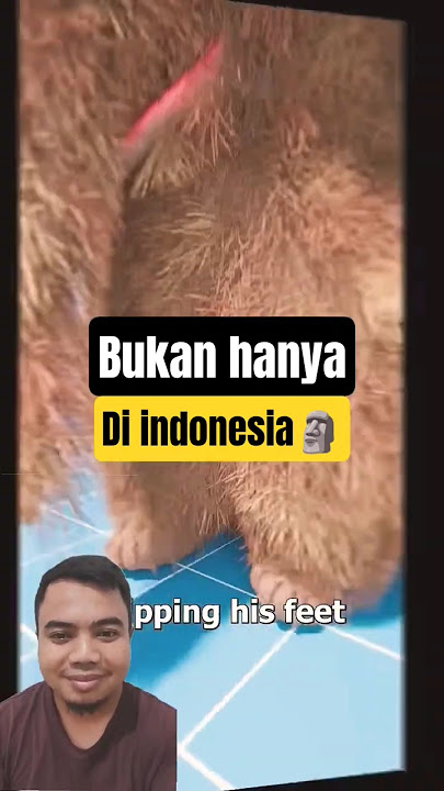 Disini lebih banyak jenisnya 🤣 #shorts #trending #badut