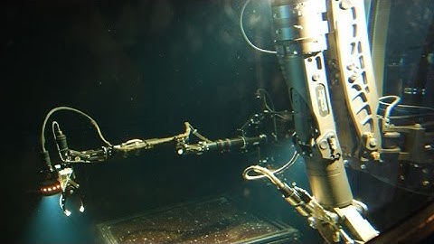 CManipulator: GISMA plug static