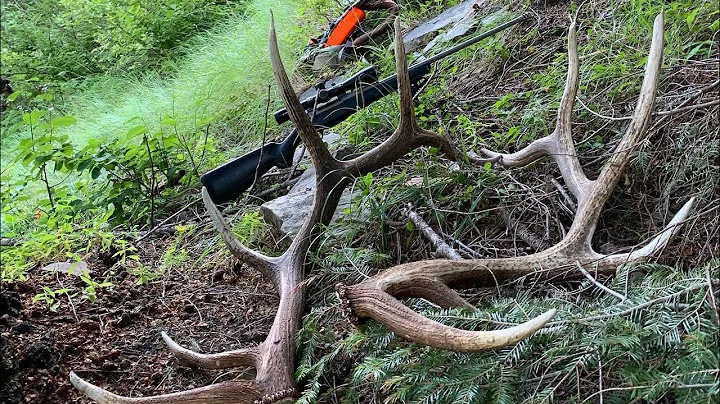 2020 Idaho Elk Sheds Brandon Pitcher part 2