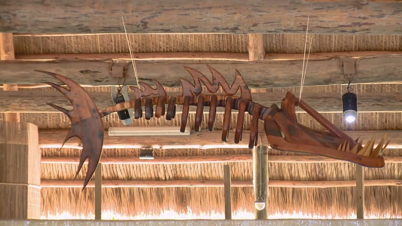 Aquarium Encounters Florida Keys BZTV YouTube