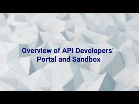 E-Invoice: Overview Of API Developers' Portal And Sandbox