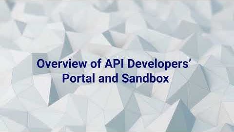 E-Invoice: Overview Of API Developers
