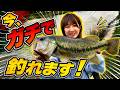 釣欲が溜まり過ぎたので発散してきました・・・【バス釣り】【シャーベットヘアーチャンネル】【第８回バス釣り王決定戦】【海津市】