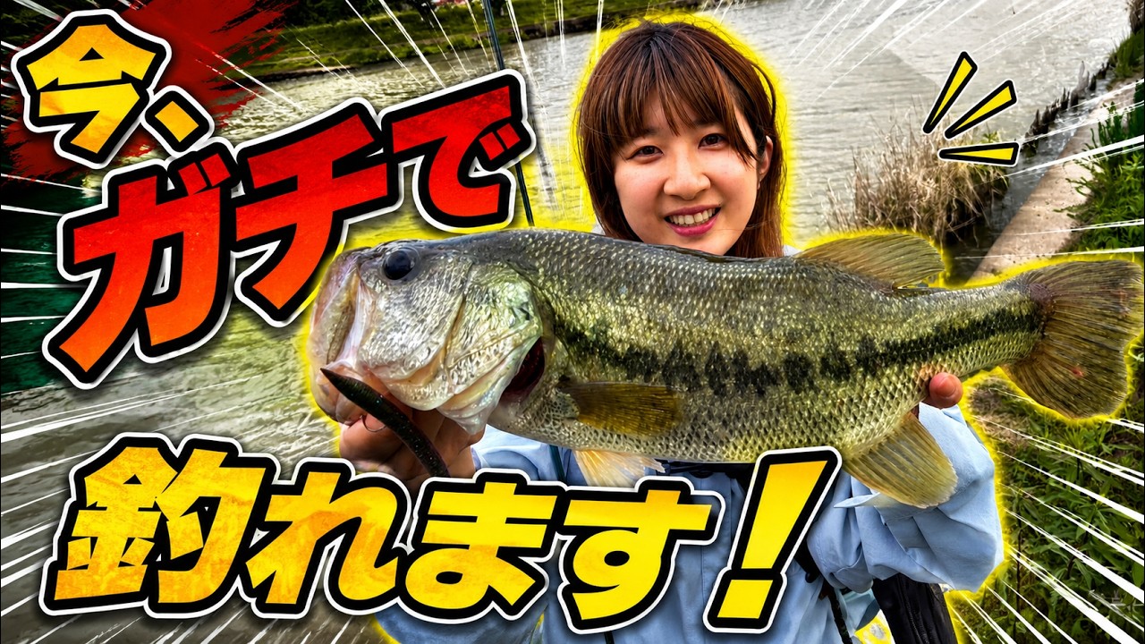 釣欲が溜まり過ぎたので発散してきました・・・【バス釣り】【シャーベットヘアーチャンネル】【第８回バス釣り王決定戦】【海津市】